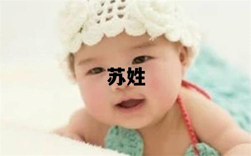 蘇姓有詩意的女孩名字,取什么名字好