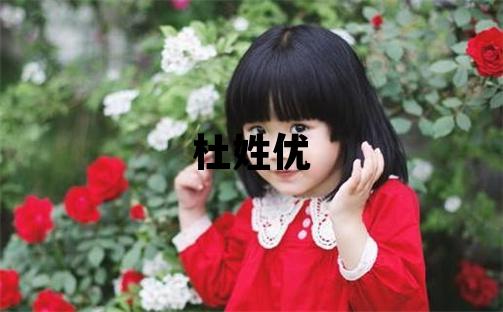 杜姓優美的男孩名字