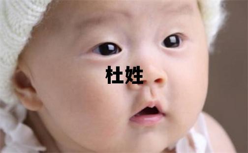 杜姓有詩意的女孩名字,取什么名字好