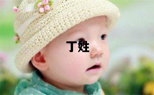 丁姓有智慧才氣的女孩名字,取什么名字好