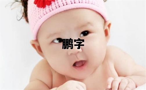 鵬字取名的寓意 鵬字取名的寓意男孩