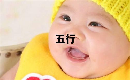 家字五行屬什么 家字男孩最佳組合名字