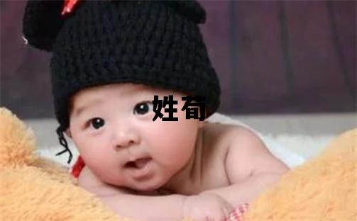 姓荀叫什么名字好 姓荀的女孩有涵養的名字