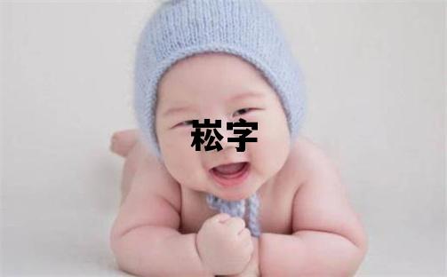 崧字取名的寓意 崧字取名的寓意男孩