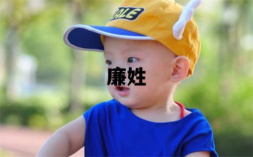 廉姓取名優美的男寶寶名字