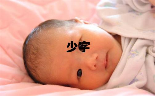 少字取名的寓意 少字取名的寓意男孩