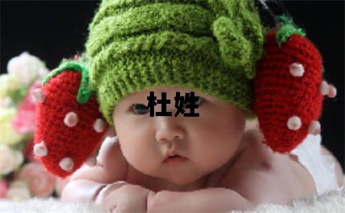 杜姓有涵養的男寶寶名字