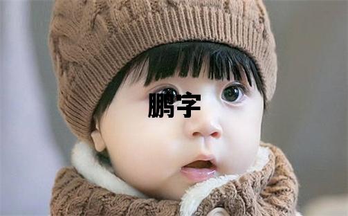 鵬字五行屬什么 鵬字取名寓意男孩
