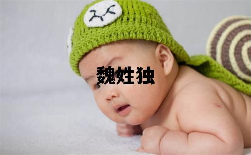 魏姓獨特優美的男孩名字