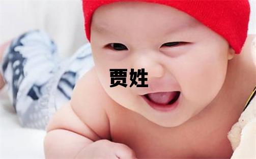 賈姓取名有詩意的男寶寶名字