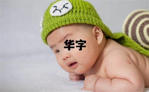 華字五行屬什么 華字取名寓意男孩