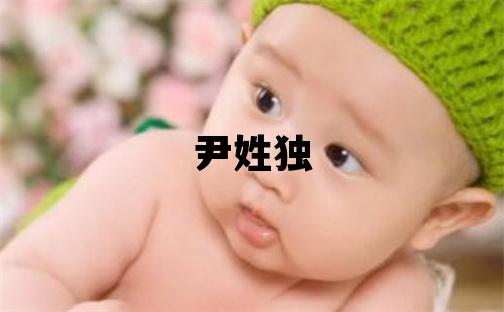 尹姓獨特優(yōu)美的女孩名字,取什么名字好