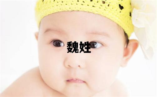 魏姓有詩意的男孩名字