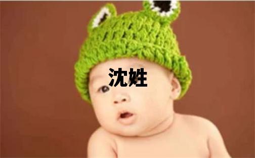 沈姓大氣文雅的男孩名字,取什么名字好