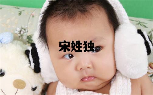 宋姓獨特優美的女孩名字,取什么名字好