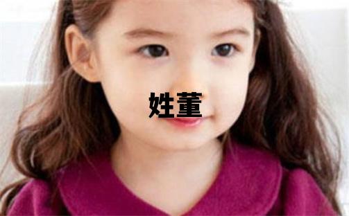 姓董叫什么名字好 姓董的男孩有靈氣的名字