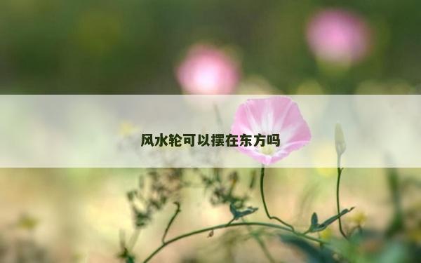 風水輪可以擺在東方嗎