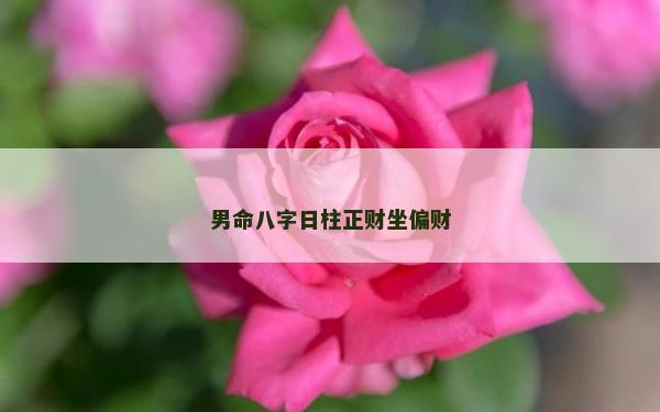 男命八字日柱正財坐偏財