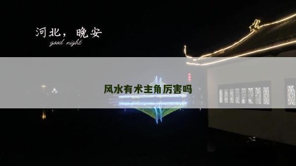 風(fēng)水有術(shù)主角厲害嗎