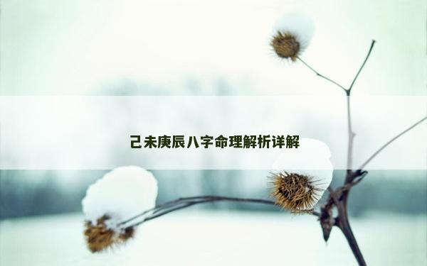 己未庚辰八字命理解析詳解