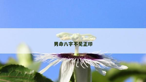 男命八字不見正印