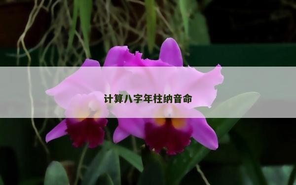計算八字年柱納音命