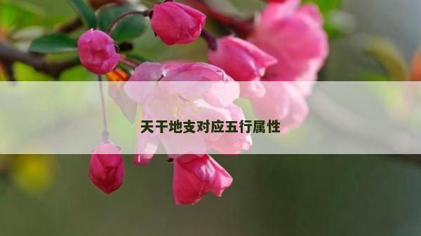 天干地支對應五行屬性