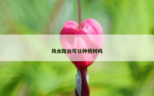 風(fēng)水陽臺可以種桃樹嗎