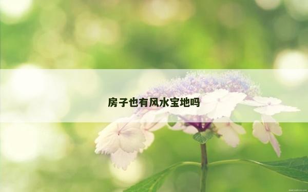 房子也有風(fēng)水寶地嗎