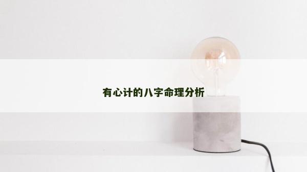 有心計的八字命理分析