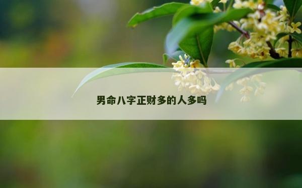 男命八字正財多的人多嗎
