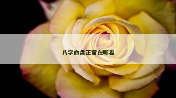 八字命盤正官在哪看