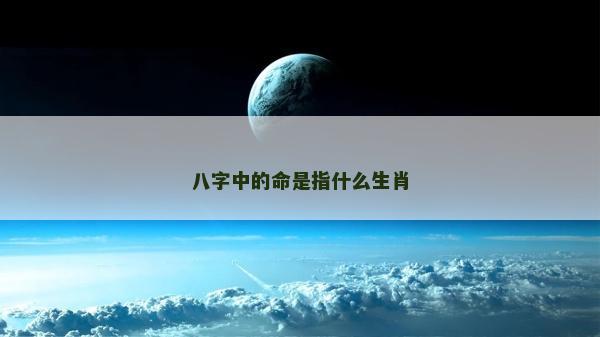 八字中的命是指什么生肖 八字中的命是指什么生肖