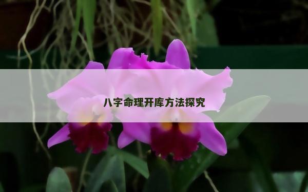八字命理開庫方法探究