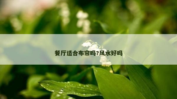 餐廳適合布簾嗎?風水好嗎
