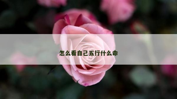 怎么看自己五行什么命