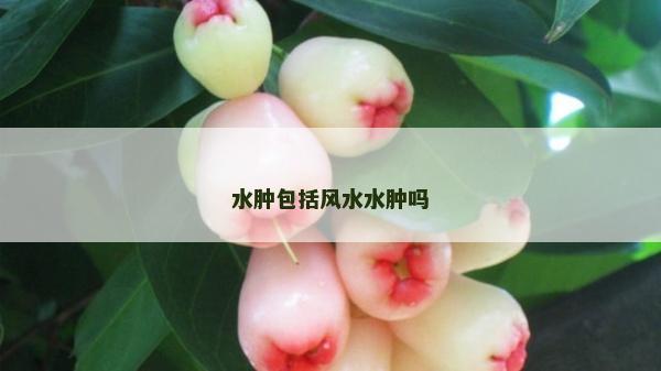 水腫包括風水水腫嗎