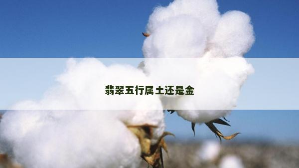 翡翠五行屬土還是金