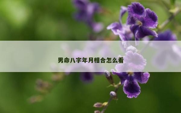 男命八字年月相合怎么看