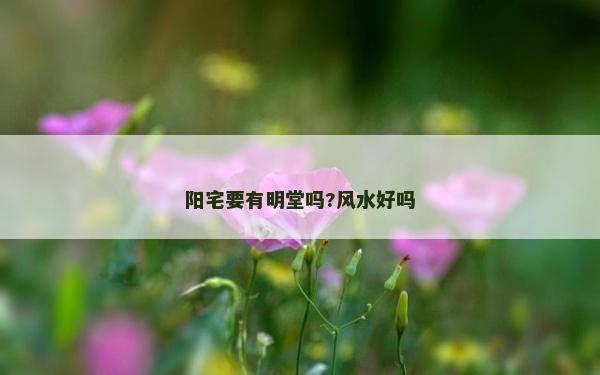 陽宅要有明堂嗎?風水好嗎