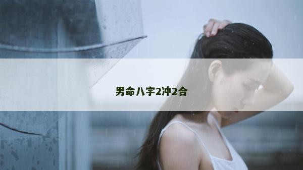 男命八字2沖2合