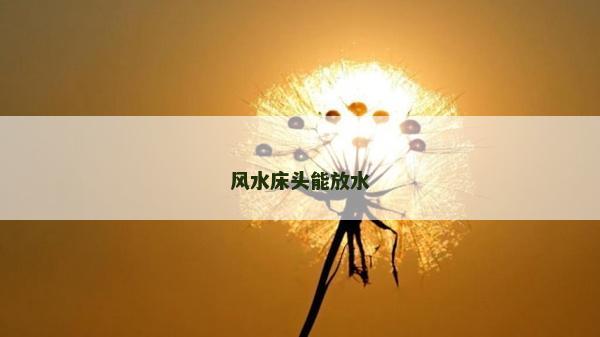 風水床頭能放水 風水床頭能放水