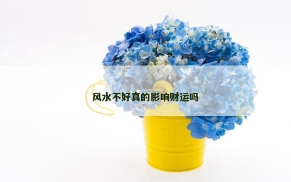 風水不好真的影響財運嗎