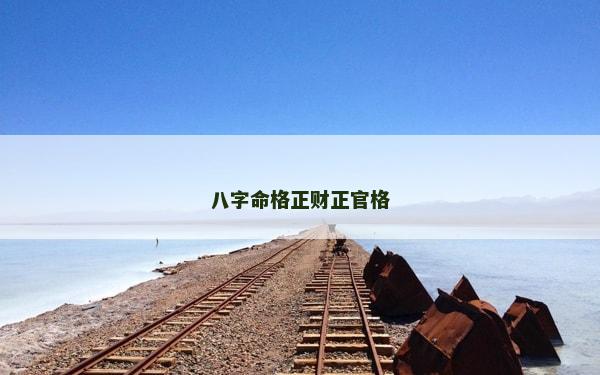 八字命格正財正官格