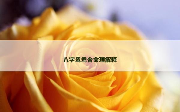 八字鴛鴦合命理解釋