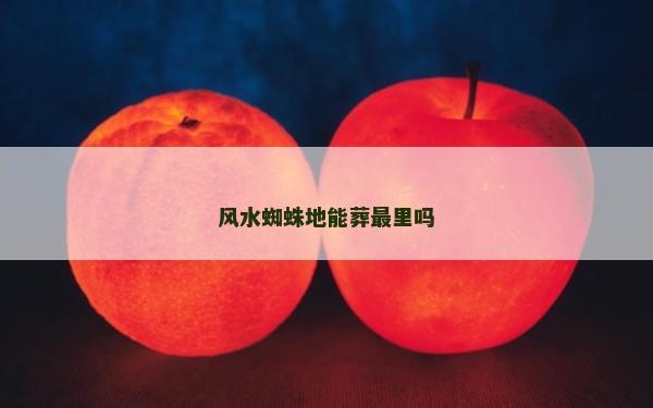 風(fēng)水蜘蛛地能葬最里嗎