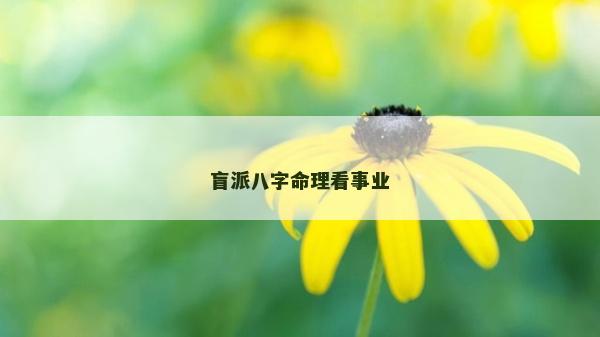 盲派八字命理看事業