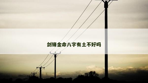 劍鋒金命八字有土不好嗎