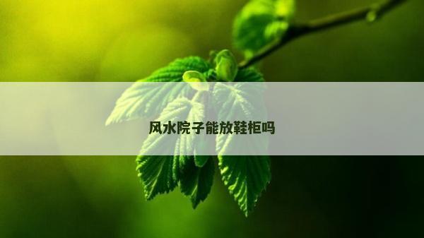 風水院子能放鞋柜嗎
