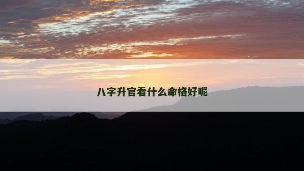 八字升官看什么命格好呢